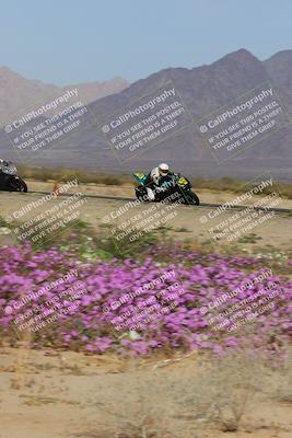 media/Feb-04-2023-SoCal Trackdays (Sat) [[8a776bf2c3]]/Turn 15 Inside Blooming (1050am)/